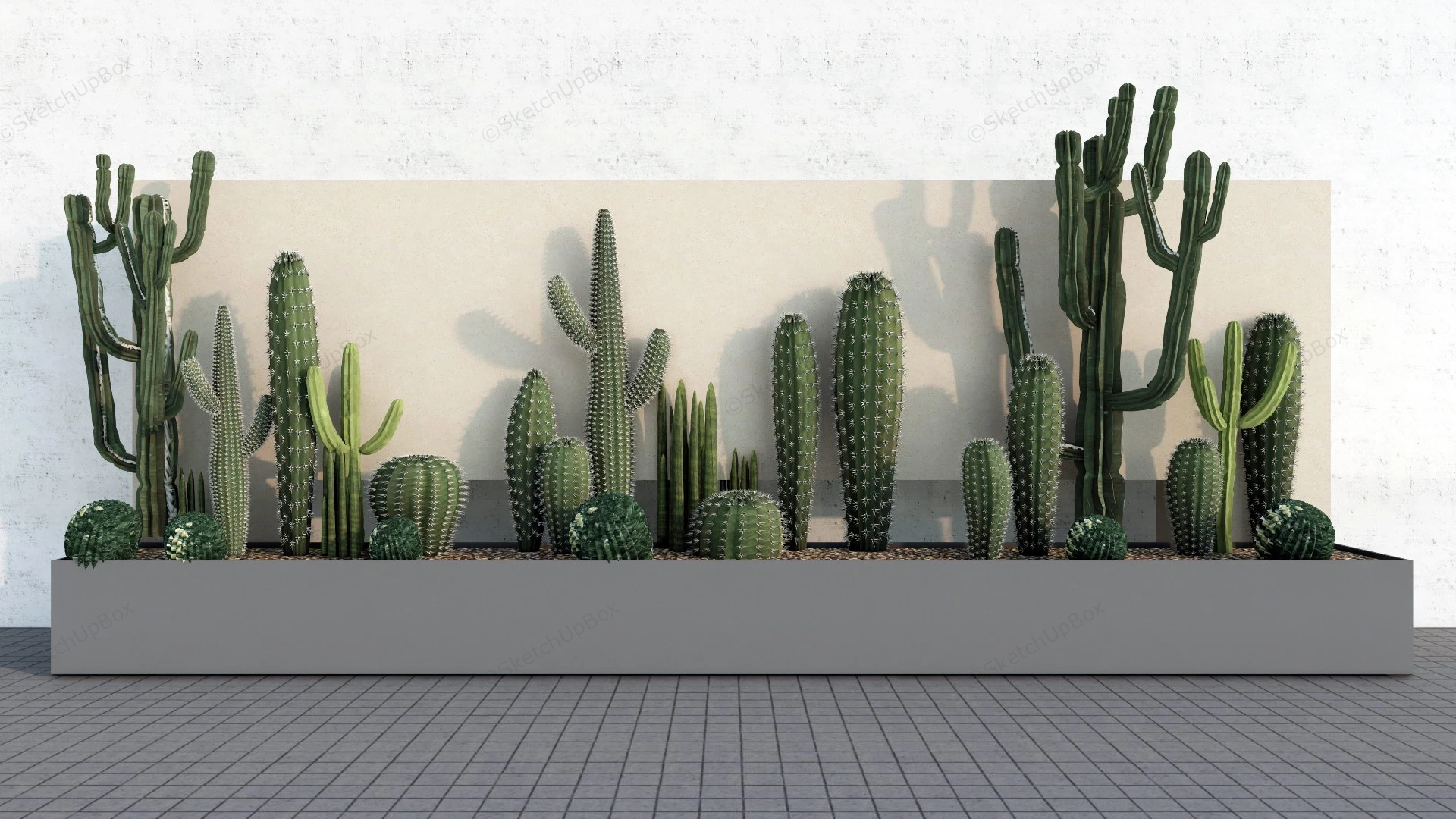 Cactus Garden Bed Design sketchup model preview - SketchupBox