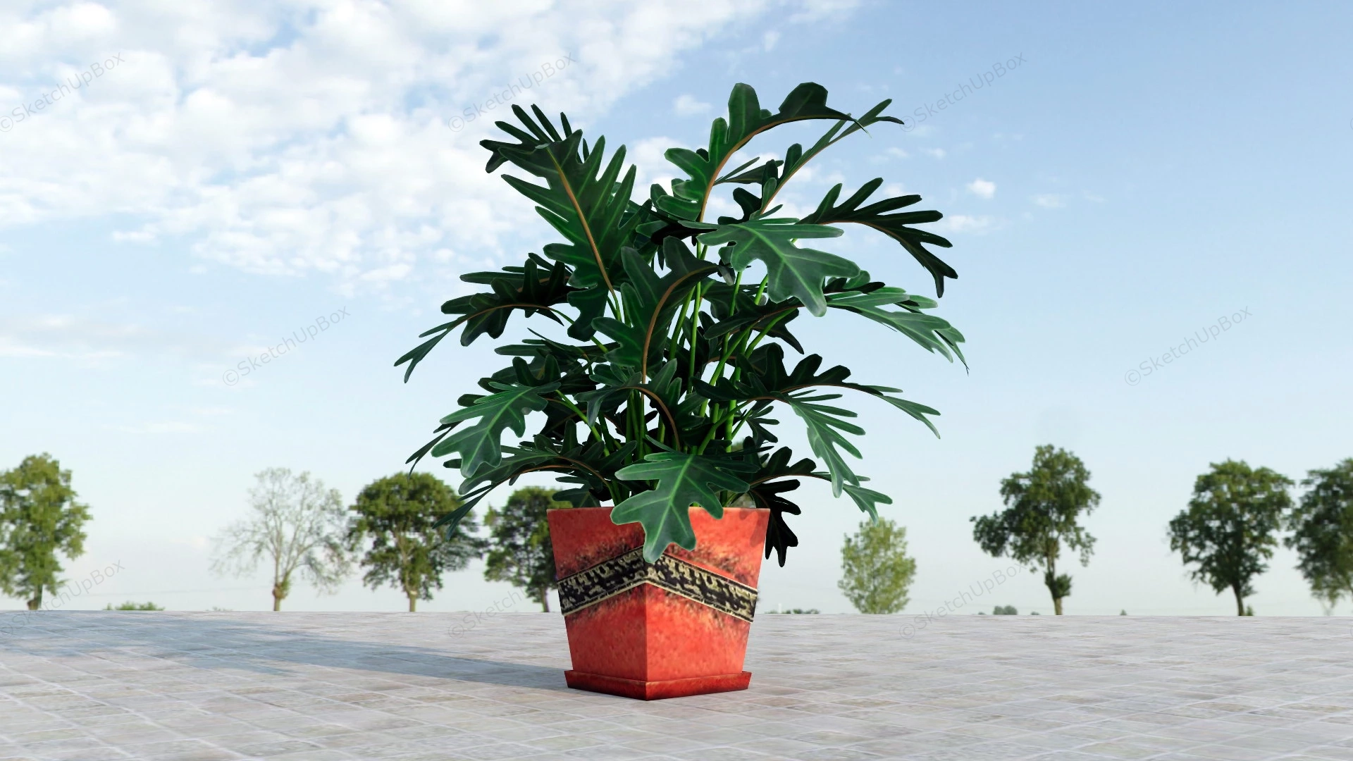 Potted Philodendron Plant sketchup model preview - SketchupBox