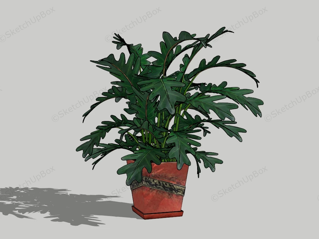 Potted Philodendron Plant sketchup model preview - SketchupBox