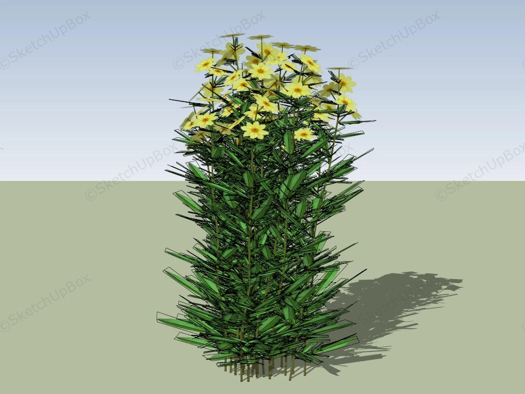 Yellow Chrysanthemum Plant sketchup model preview - SketchupBox