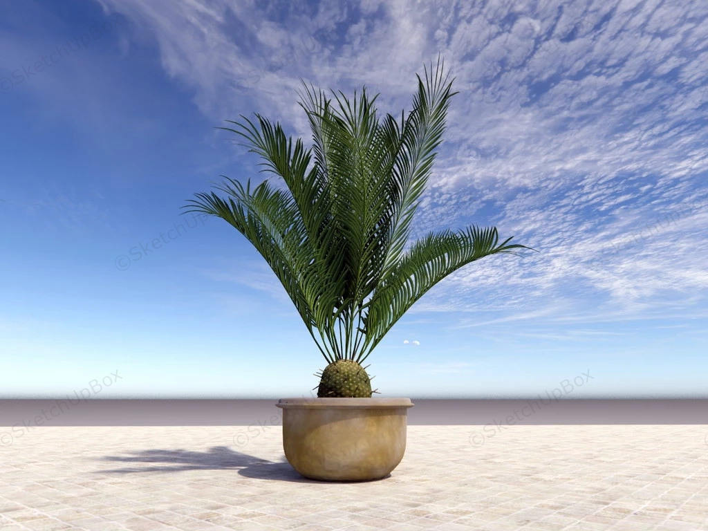 Garden Palm Tree In Pot sketchup model preview - SketchupBox