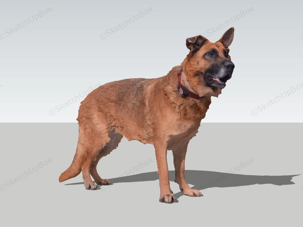 German Shepherd Dog sketchup model preview - SketchupBox