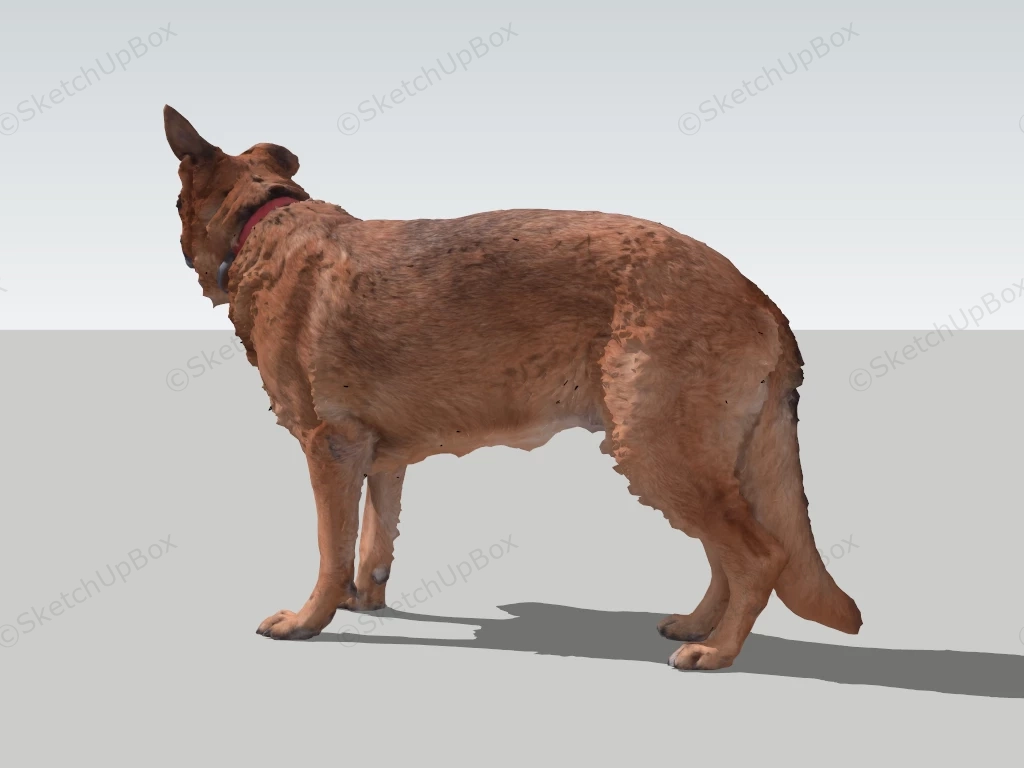 German Shepherd Dog sketchup model preview - SketchupBox