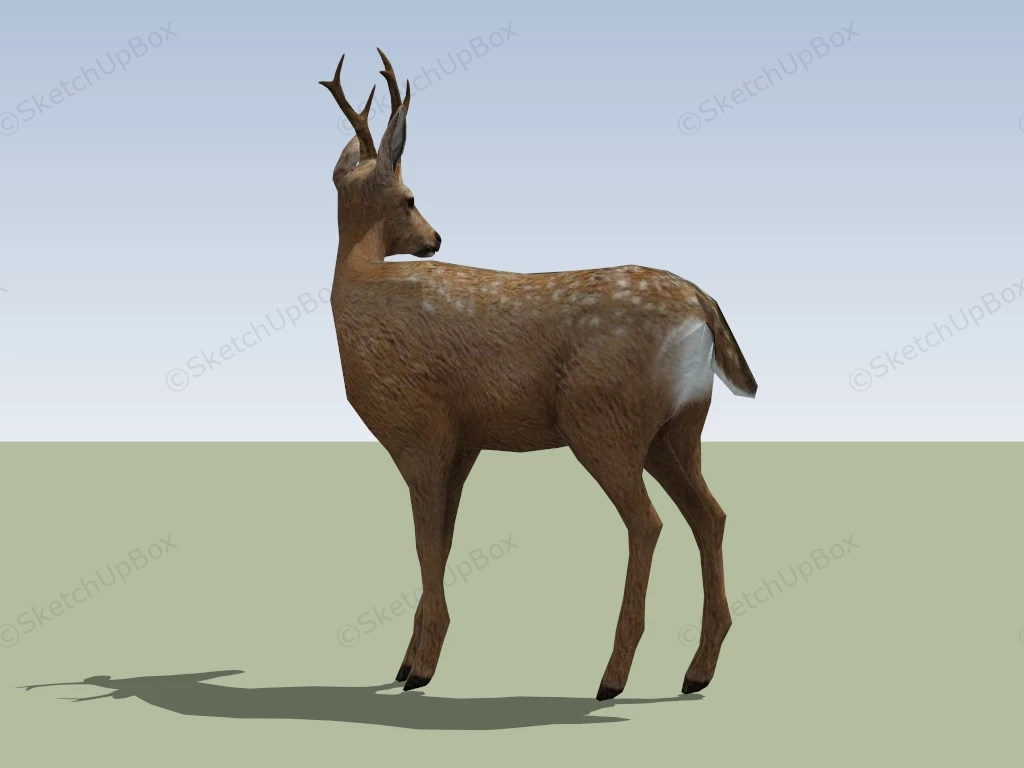 Sika Deer Stag sketchup model preview - SketchupBox