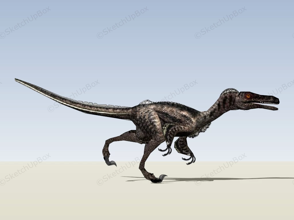 Troodon Dinosaur sketchup model preview - SketchupBox