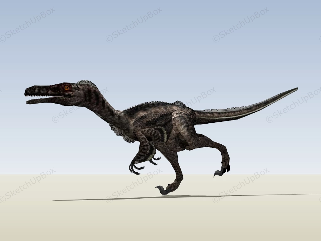 Troodon Dinosaur sketchup model preview - SketchupBox