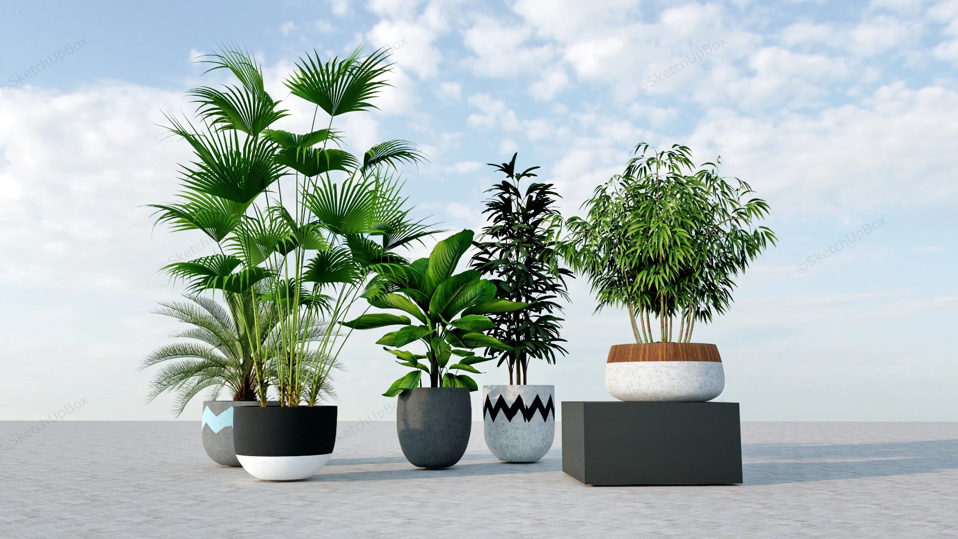 Decorative Home Plants sketchup model preview - SketchupBox