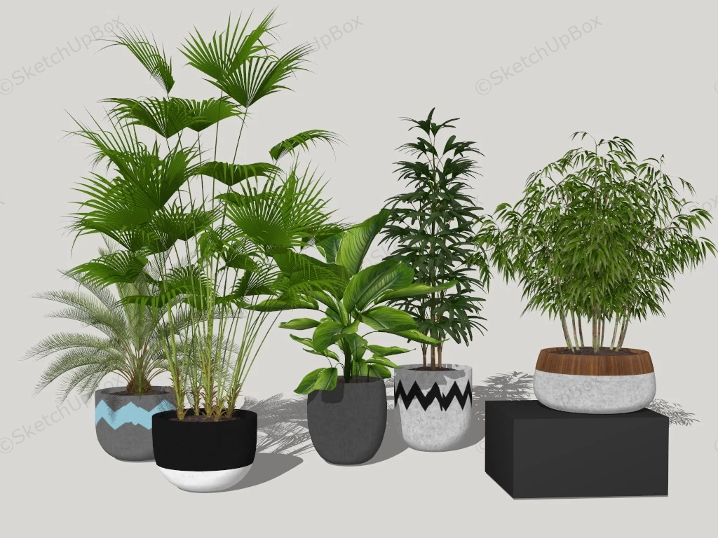 Decorative Home Plants sketchup model preview - SketchupBox