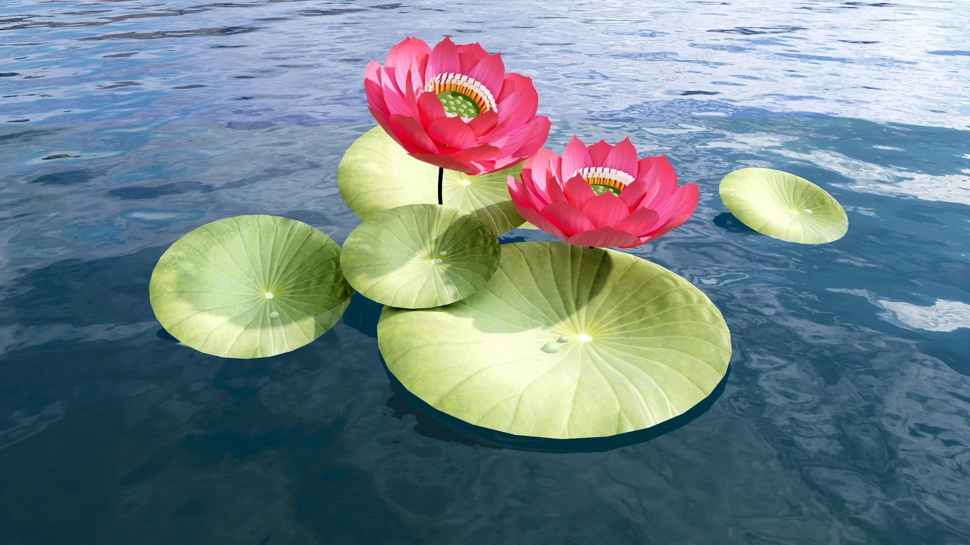 Lotus Flowers With Leaves sketchup model preview - SketchupBox