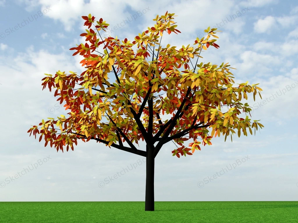 Beautiful Autumn Tree sketchup model preview - SketchupBox