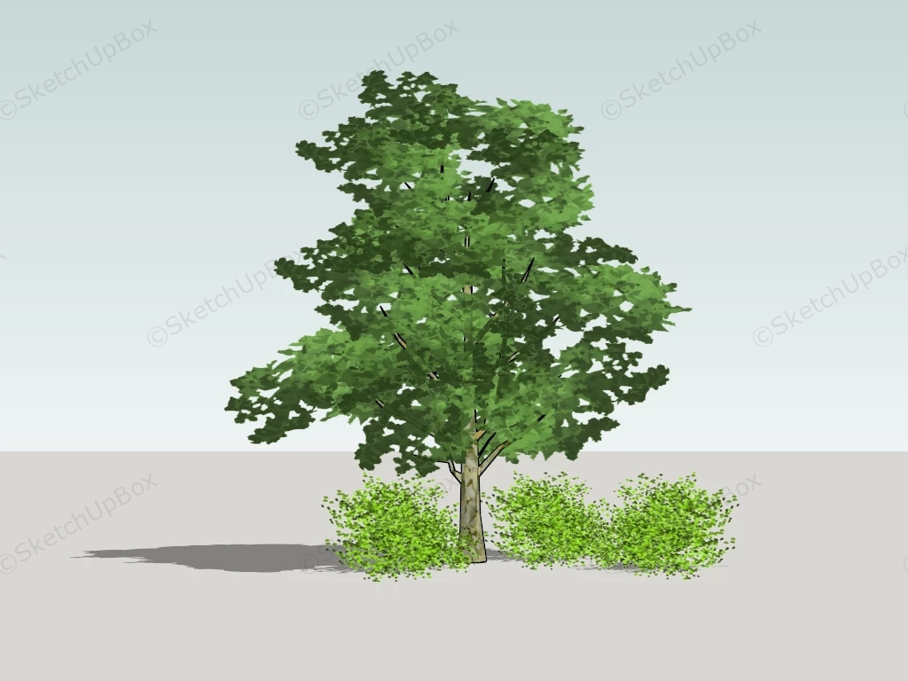 Tree And Bush sketchup model preview - SketchupBox