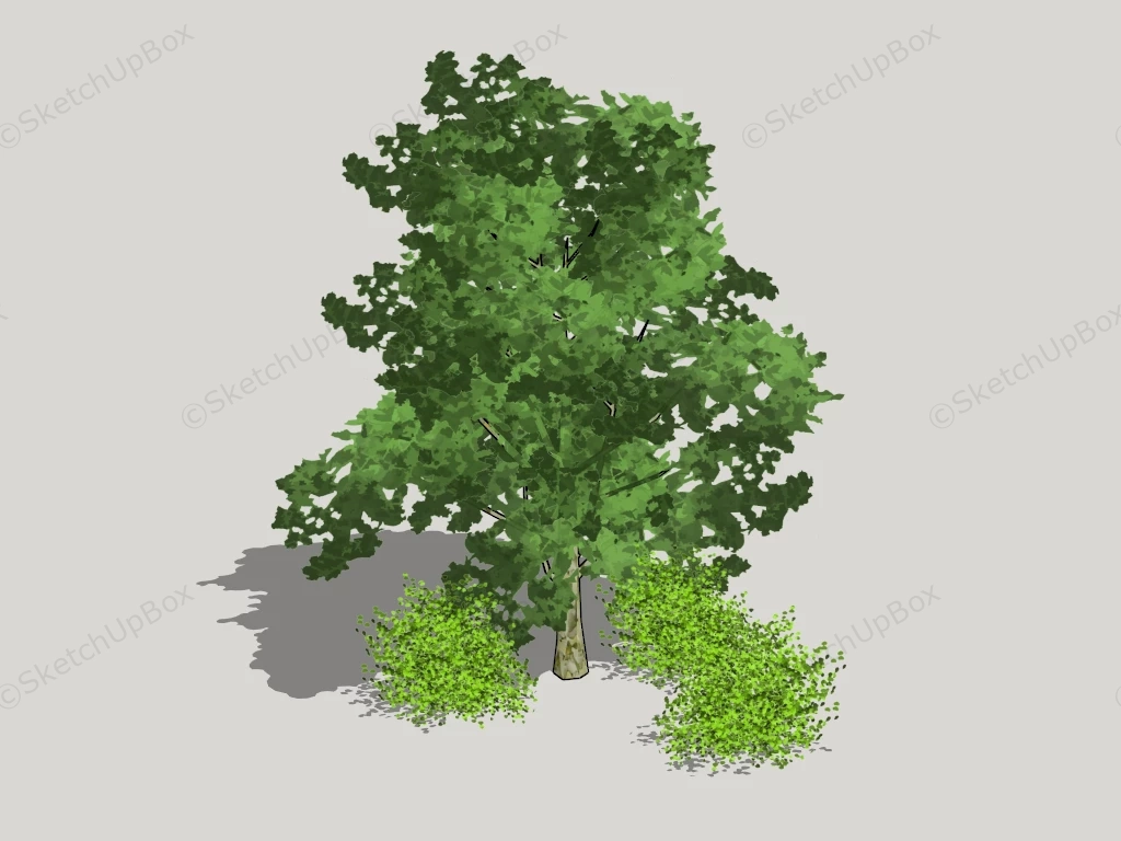 Tree And Bush sketchup model preview - SketchupBox