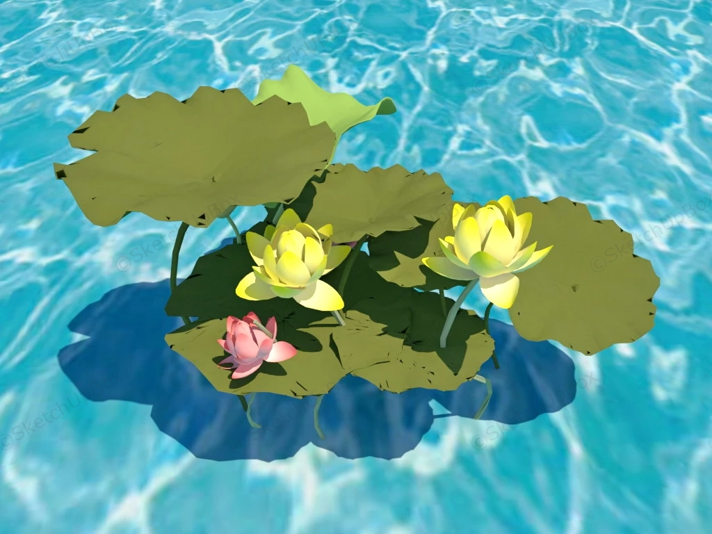 Yellow And Pink Lotus Flowers sketchup model preview - SketchupBox