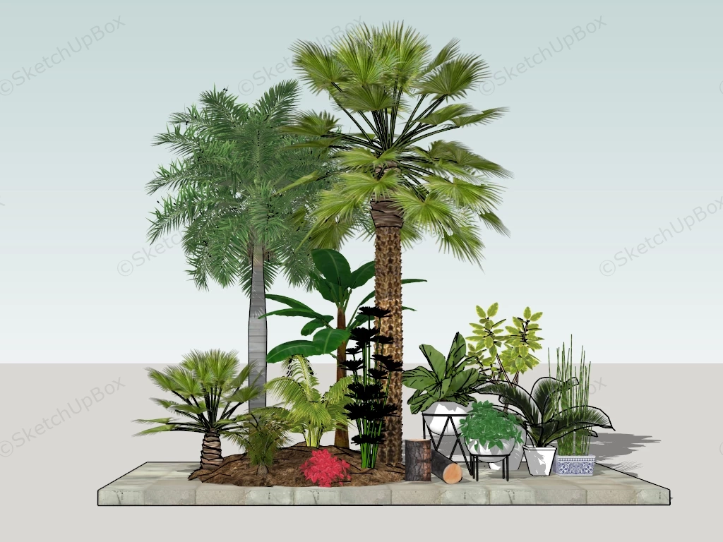 Tropical Garden Trees sketchup model preview - SketchupBox