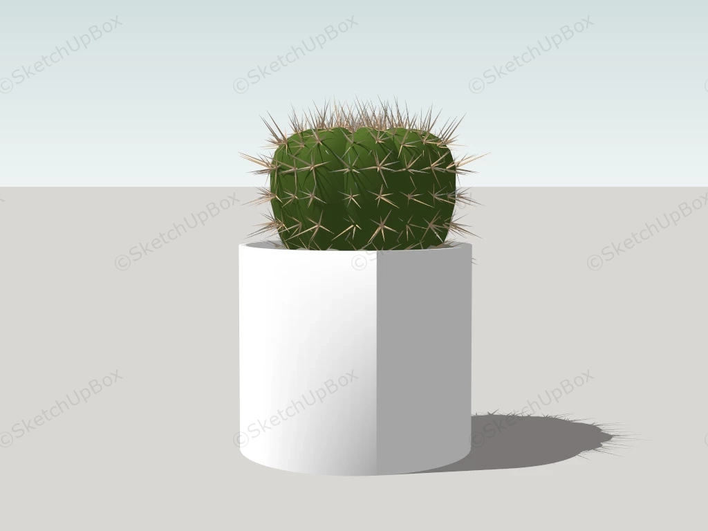 Cactus Ball Plant In Pot sketchup model preview - SketchupBox