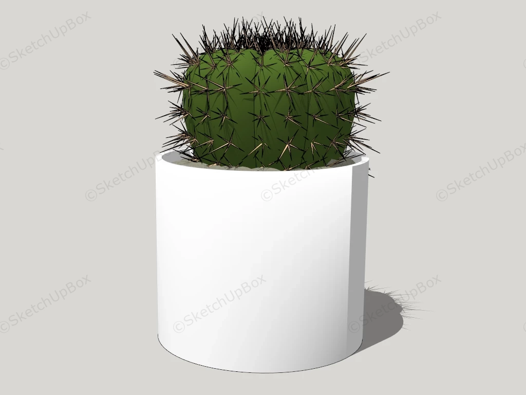 Cactus Ball Plant In Pot sketchup model preview - SketchupBox