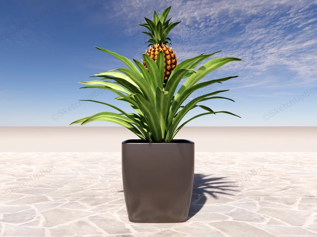 Pineapple Plant In Pot sketchup model preview - SketchupBox