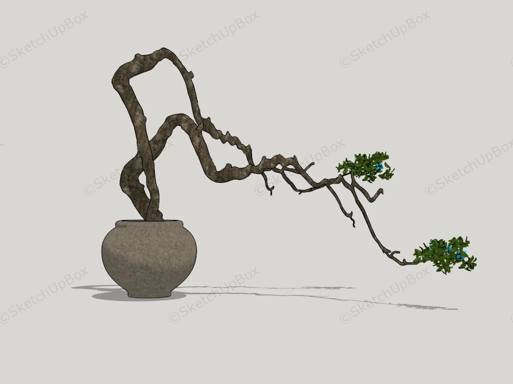 Vintage Bonsai Tree sketchup model preview - SketchupBox