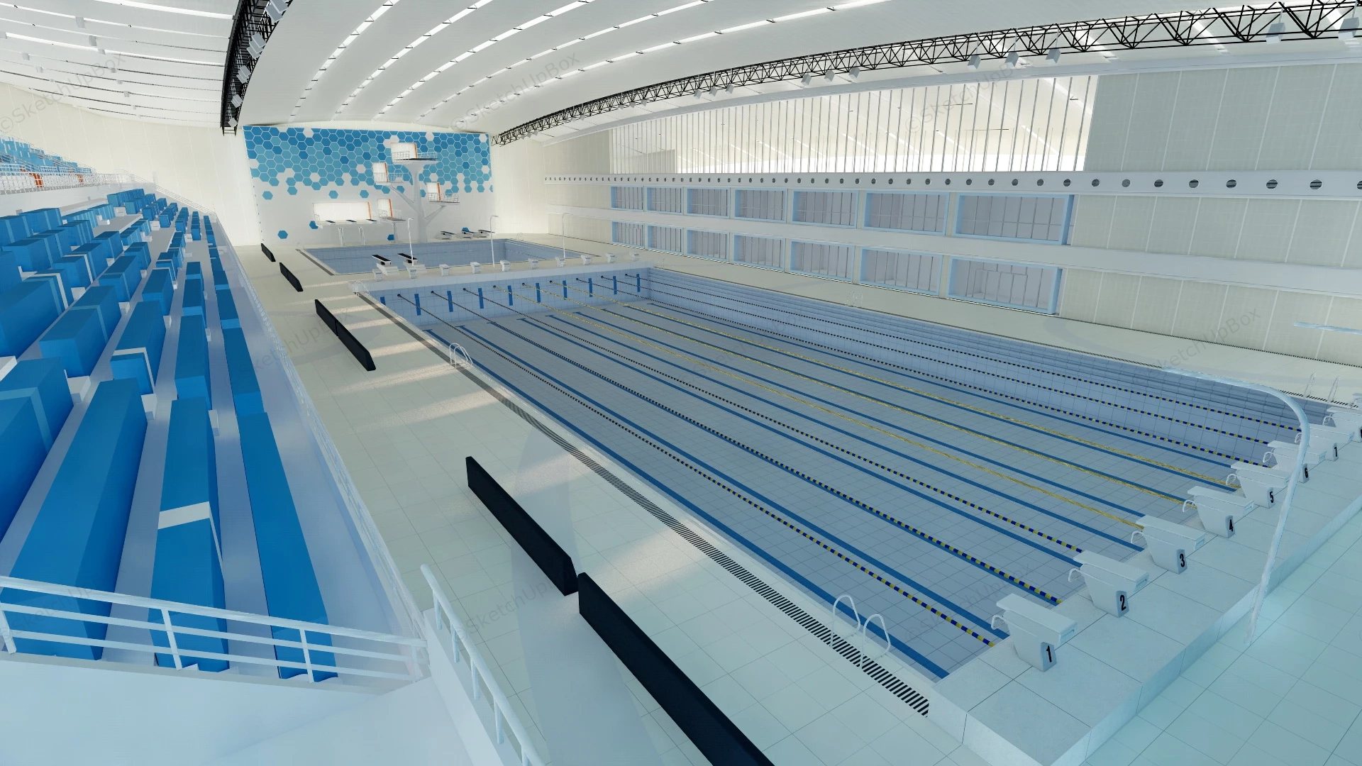 Olympic Pool Design sketchup model preview - SketchupBox