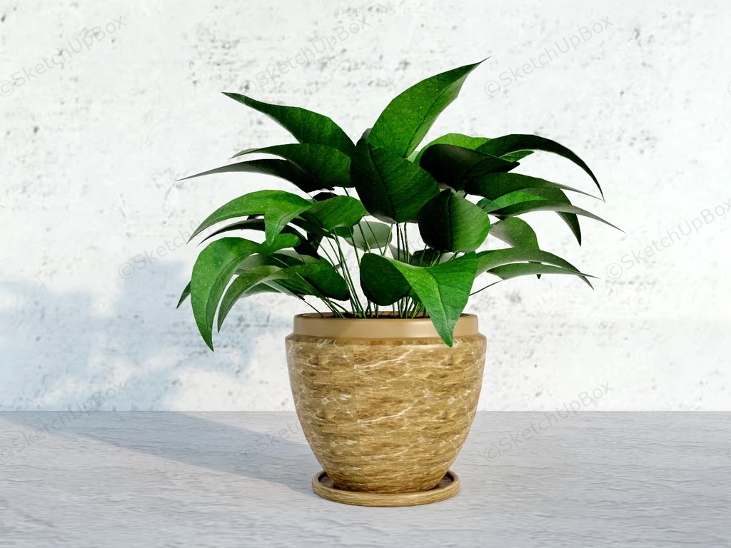 Potted Pothos Plant sketchup model preview - SketchupBox