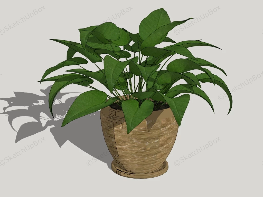 Potted Pothos Plant sketchup model preview - SketchupBox