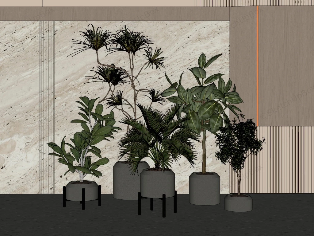 Tall Indoor Trees sketchup model preview - SketchupBox