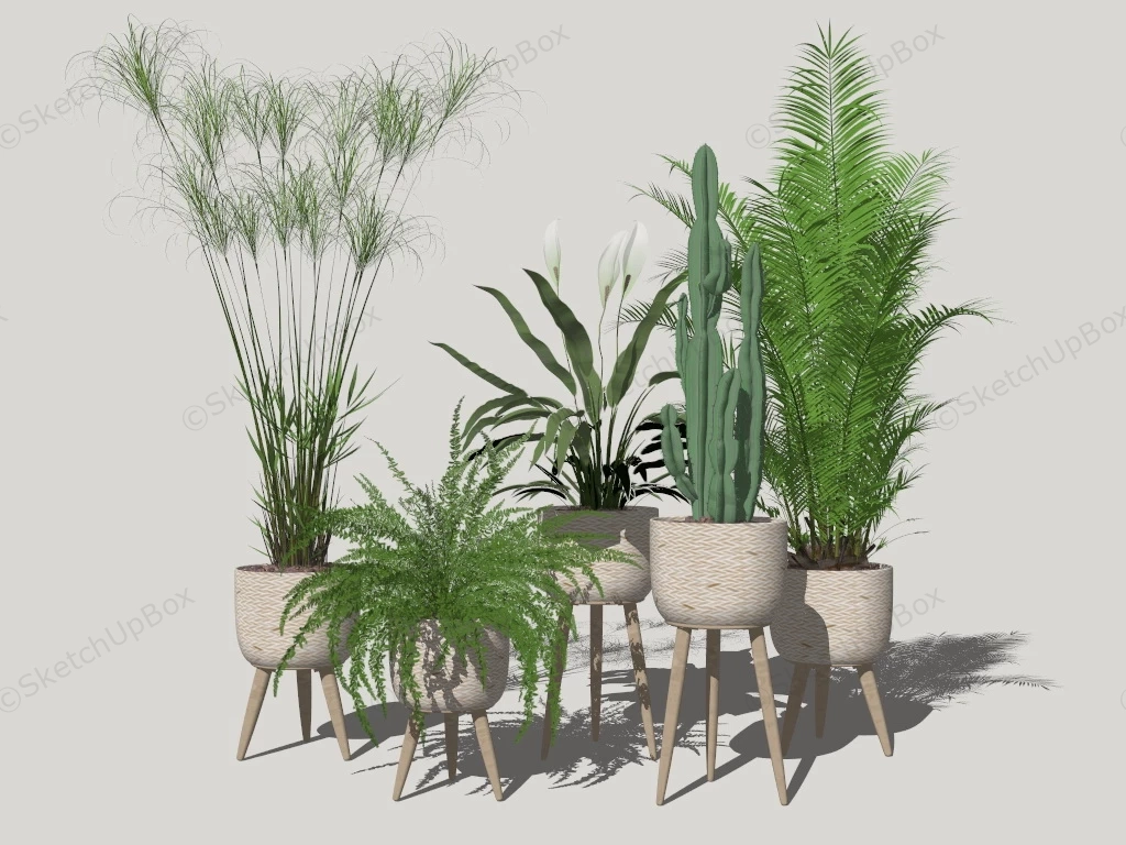 Indoor Planter And Stand Ideas sketchup model preview - SketchupBox