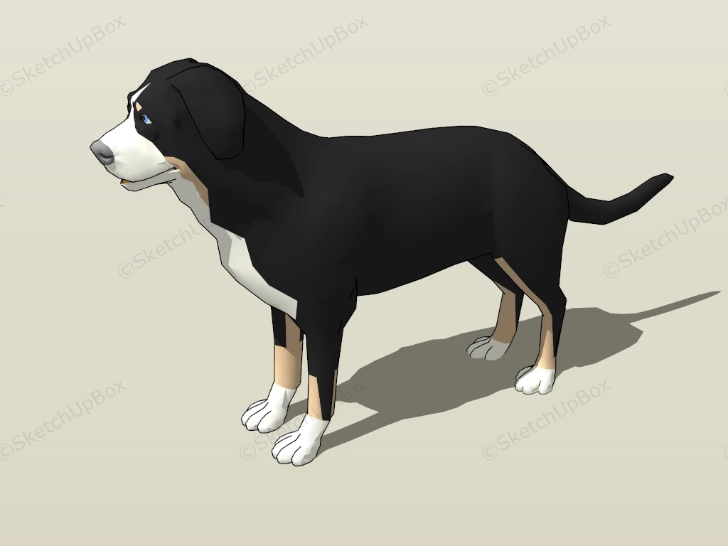 Tricolor Rough Collie sketchup model preview - SketchupBox