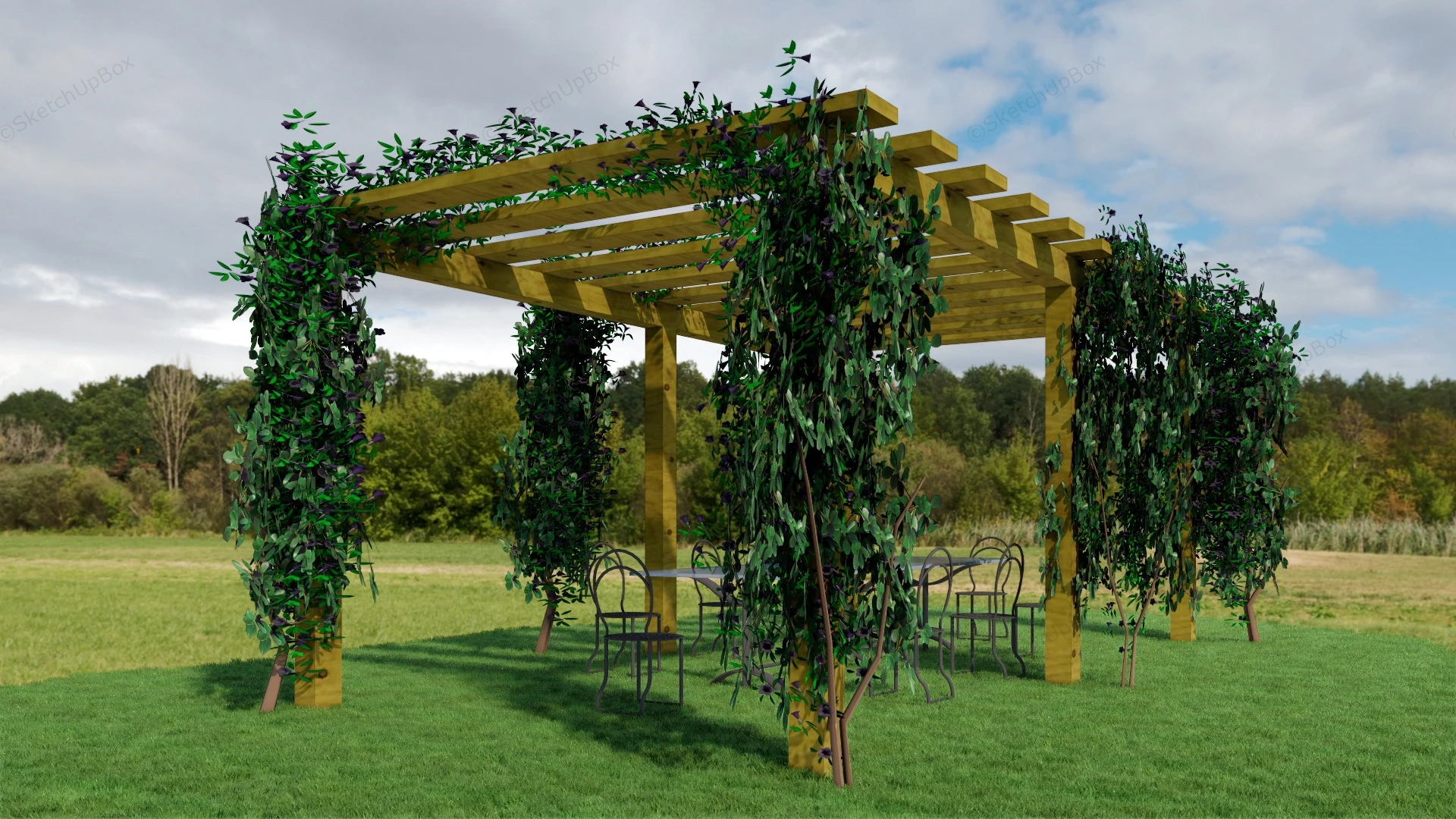 Grape Vine Pergola With Furniture sketchup model preview - SketchupBox