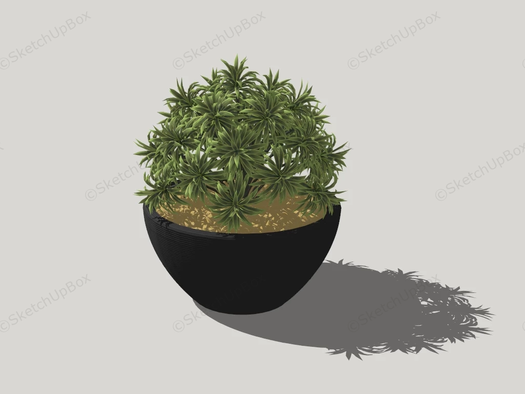 Black Ceramic Planter sketchup model preview - SketchupBox