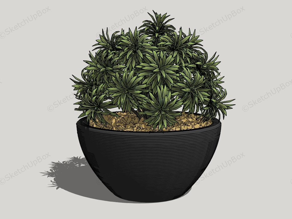 Black Ceramic Planter sketchup model preview - SketchupBox