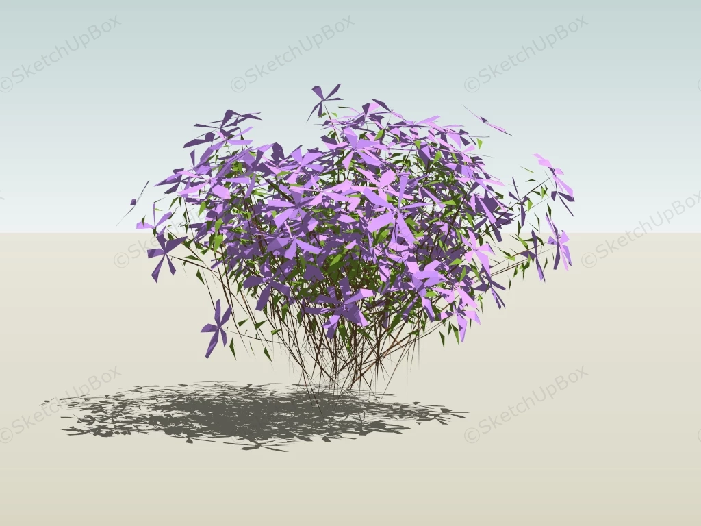 Lavender Plants sketchup model preview - SketchupBox