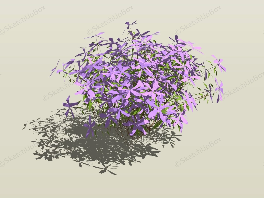 Lavender Plants sketchup model preview - SketchupBox