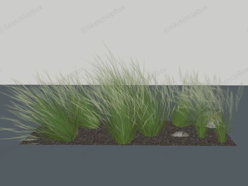 Ornamental Grasses sketchup model preview - SketchupBox