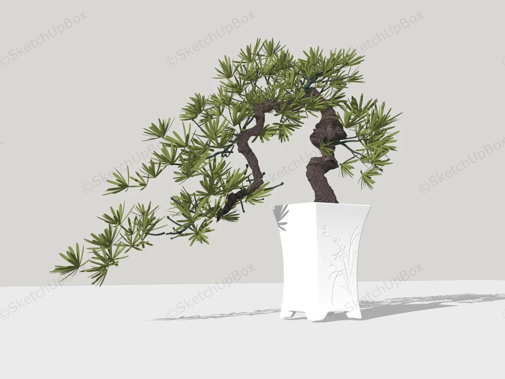 Juniper Bonsai Tree sketchup model preview - SketchupBox