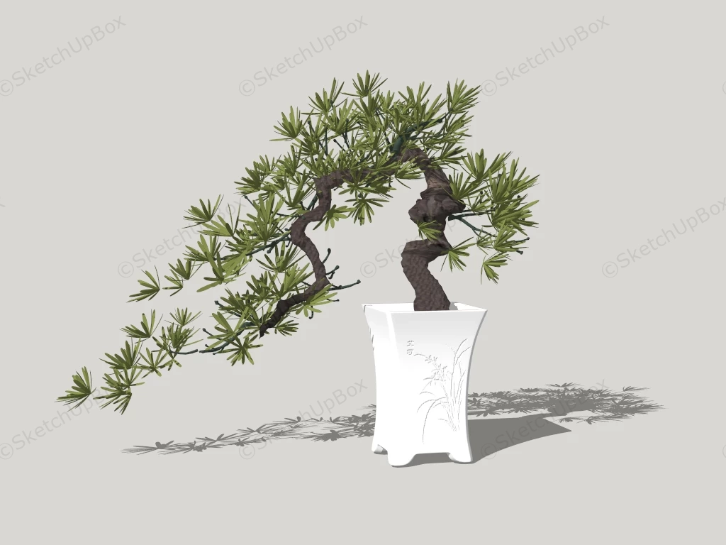 Juniper Bonsai Tree sketchup model preview - SketchupBox