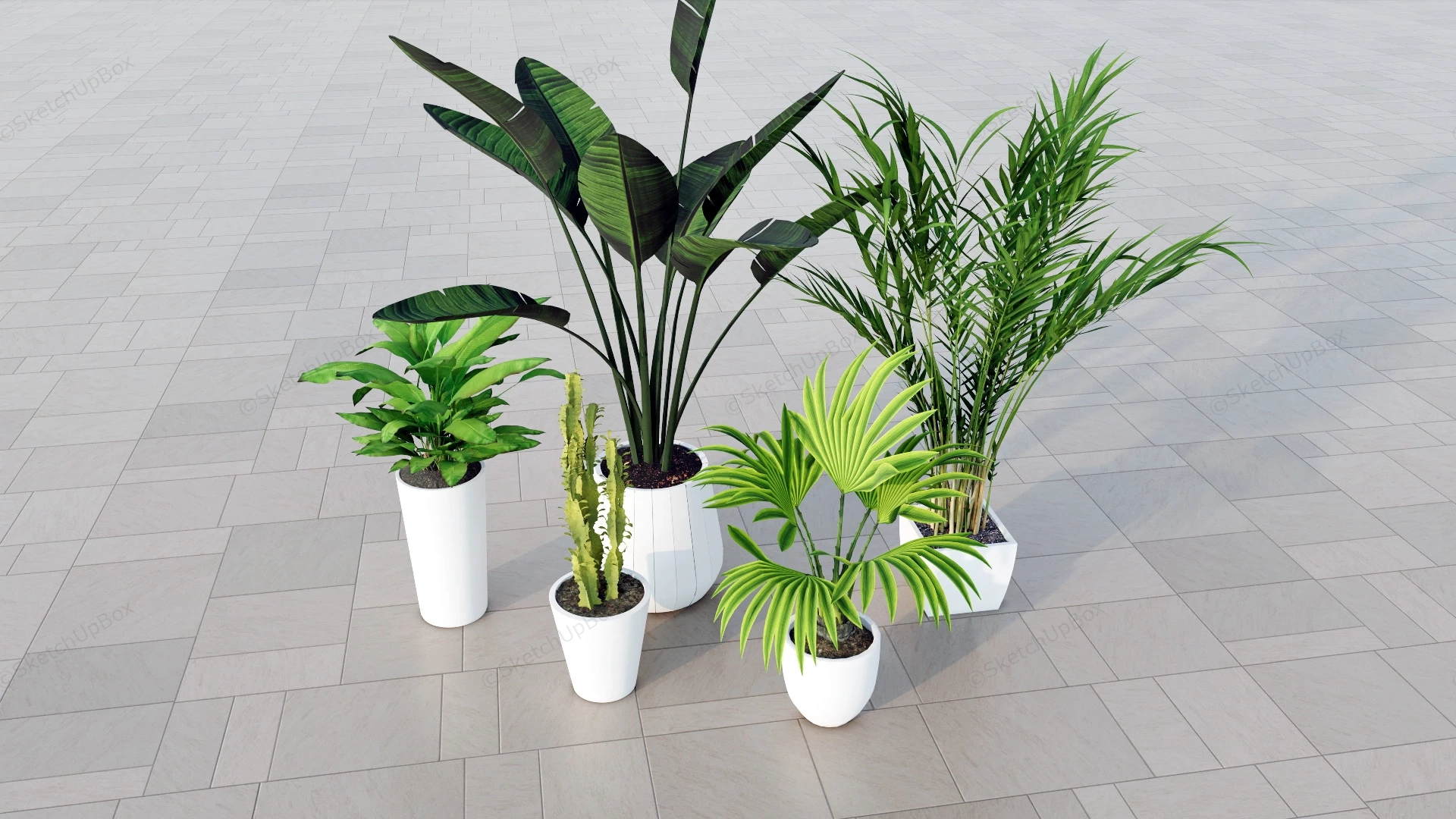 Indoor Plants sketchup model preview - SketchupBox