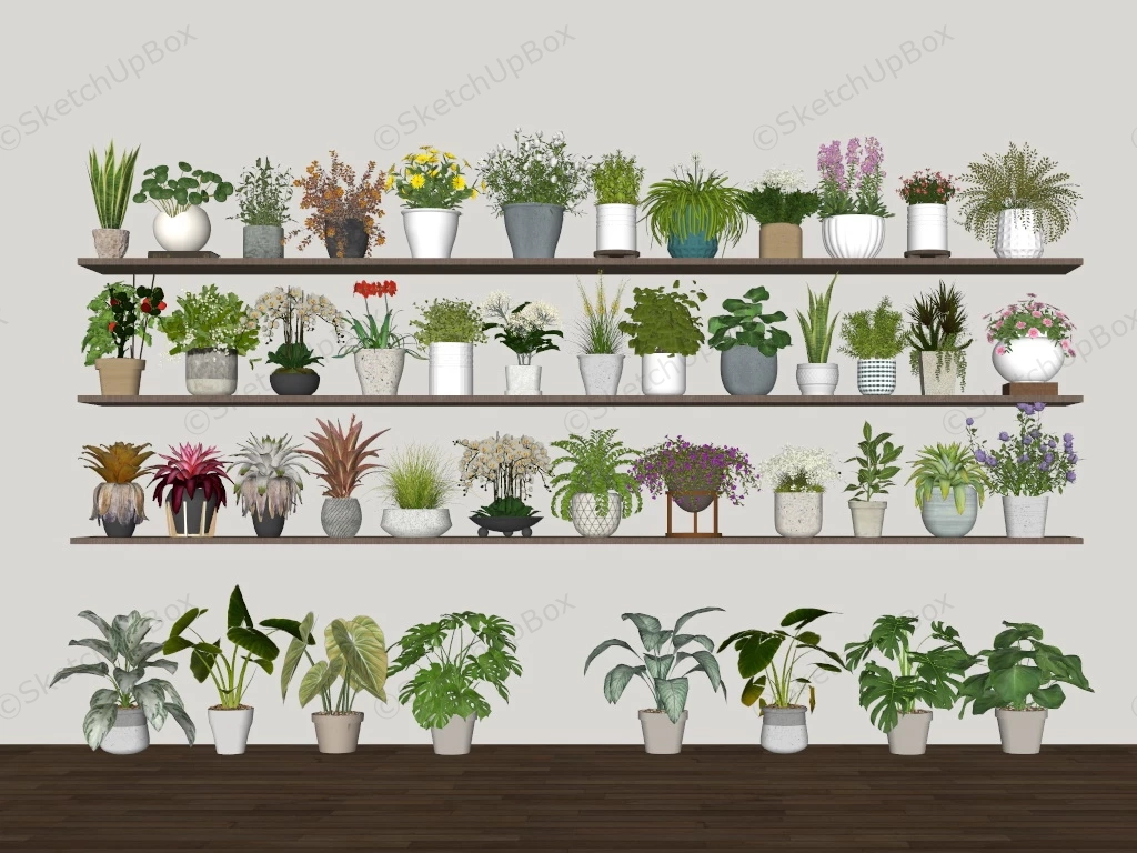 Houseplant Collection sketchup model preview - SketchupBox