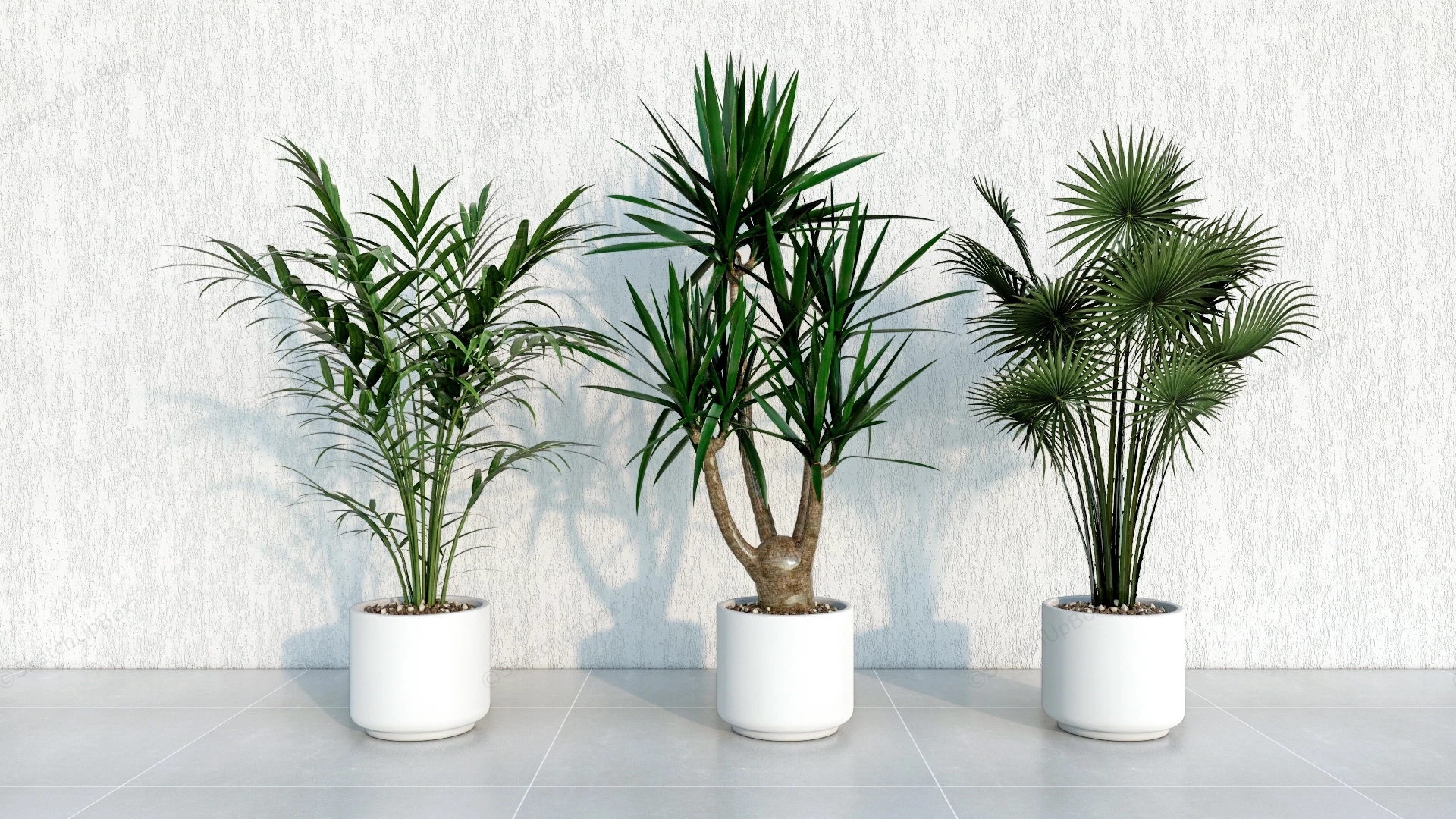 Live House Plants sketchup model preview - SketchupBox