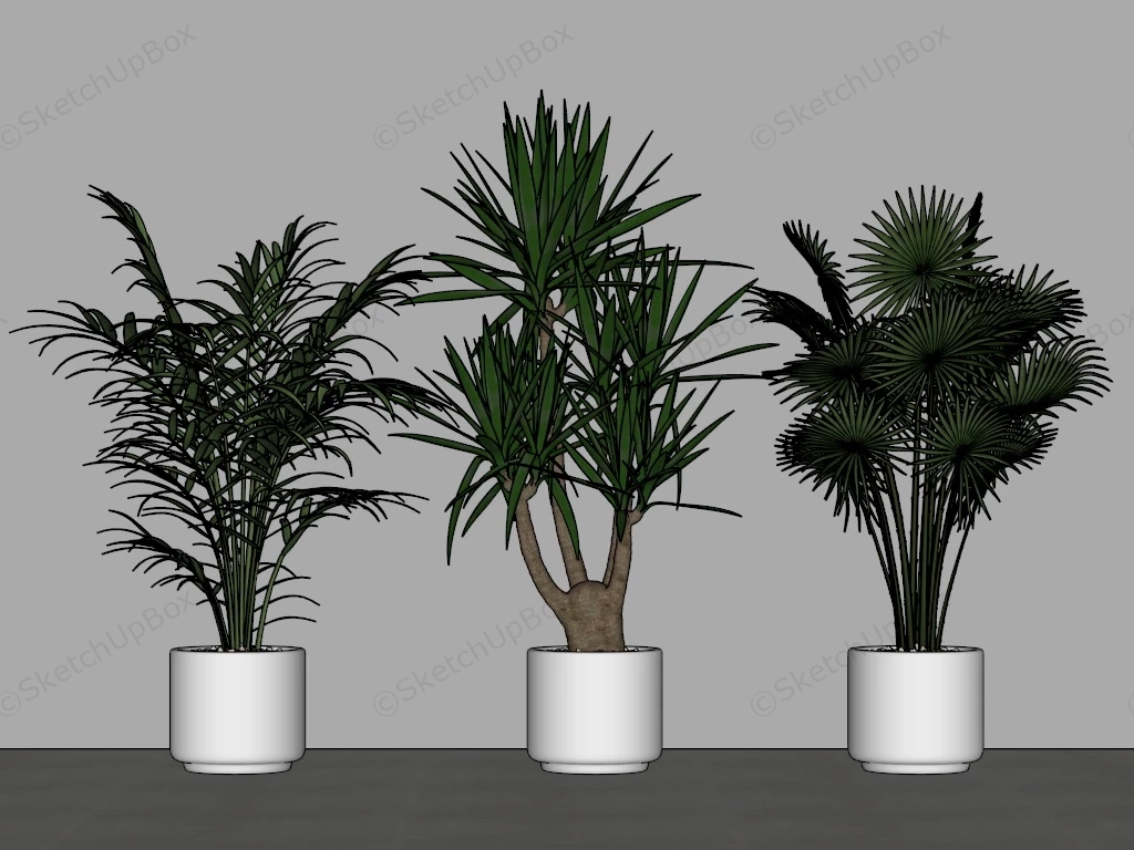 Live House Plants sketchup model preview - SketchupBox