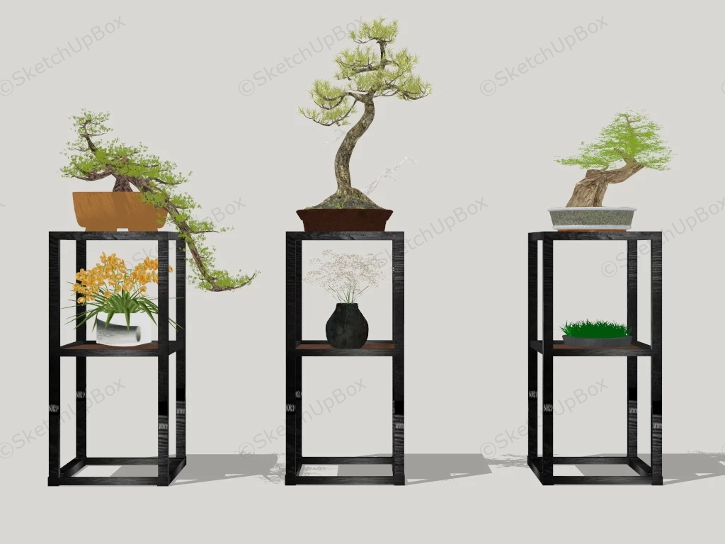 Bonsai On Stands sketchup model preview - SketchupBox