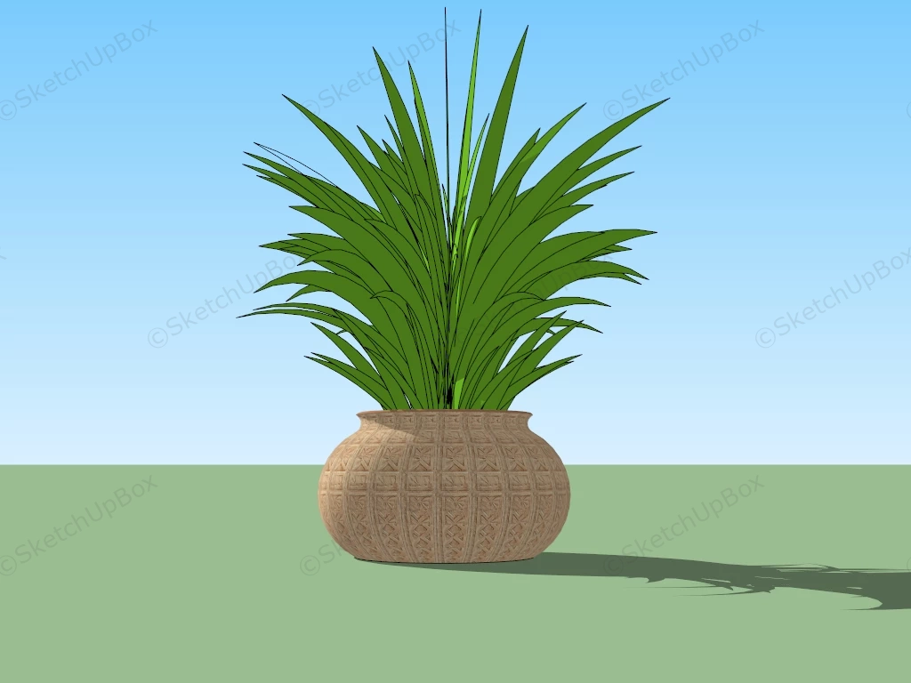 Potted Grass Plant sketchup model preview - SketchupBox