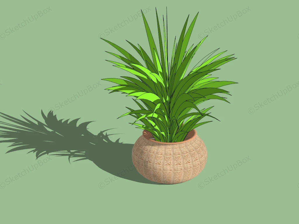 Potted Grass Plant sketchup model preview - SketchupBox