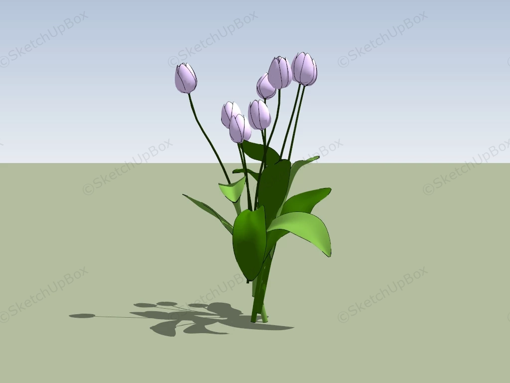 Purple Tulip Flower sketchup model preview - SketchupBox