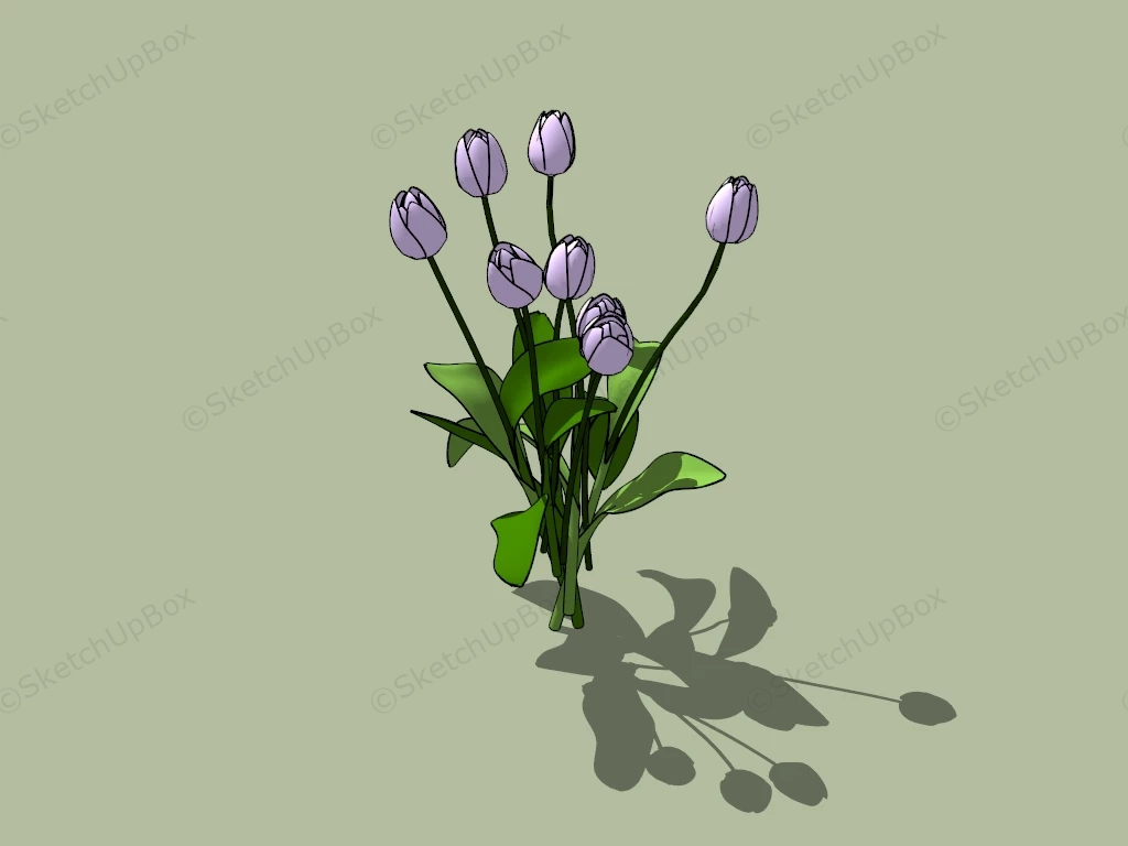 Purple Tulip Flower sketchup model preview - SketchupBox