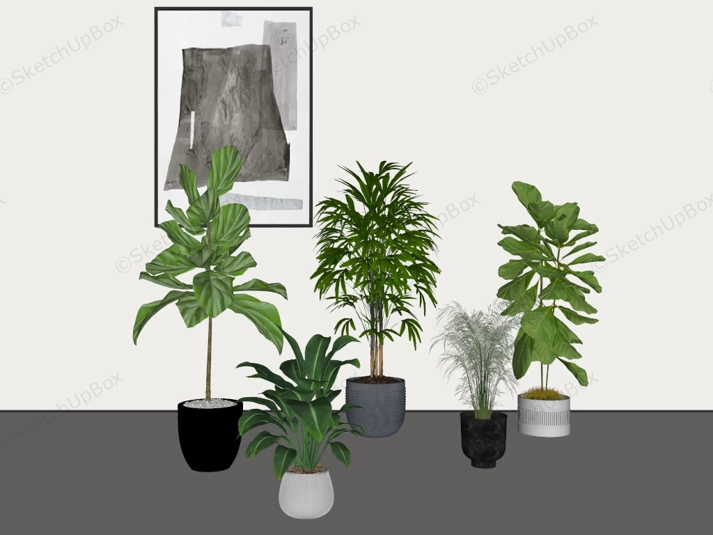 Large Indoor Houseplants sketchup model preview - SketchupBox