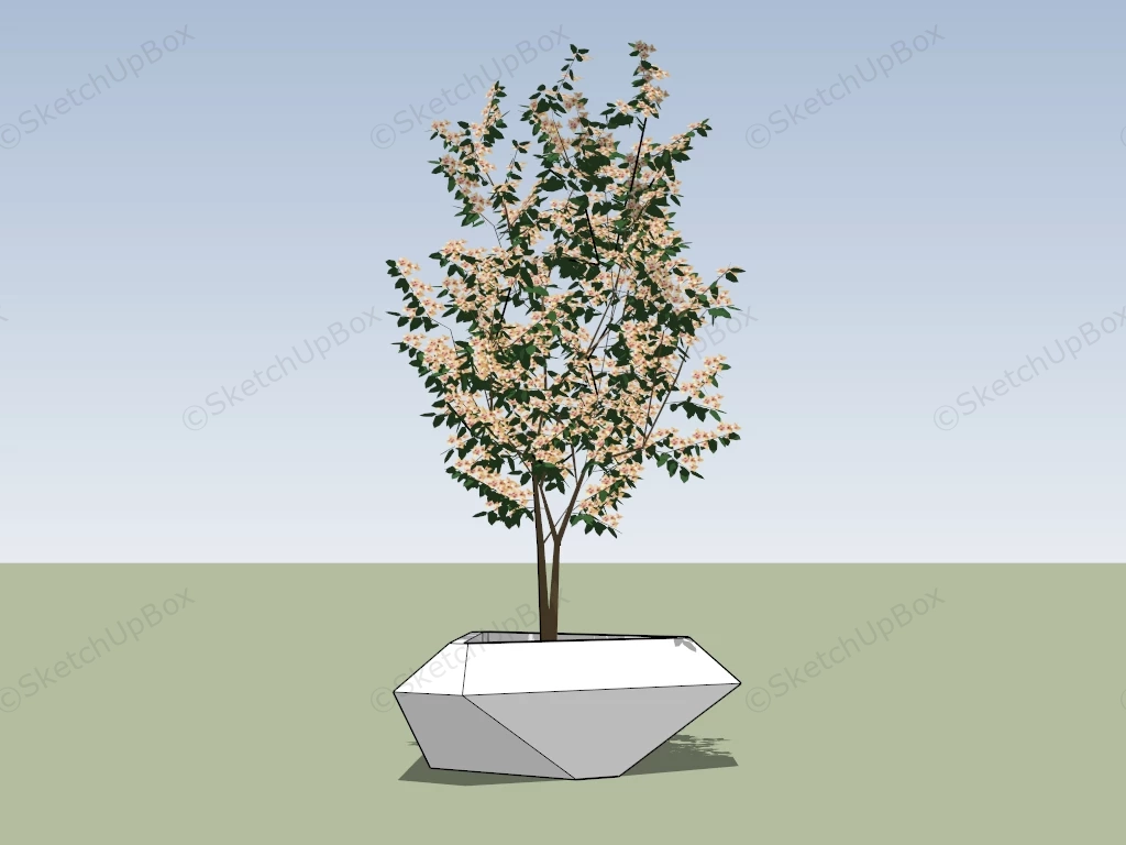 White Tree Surround Raised Bed sketchup model preview - SketchupBox