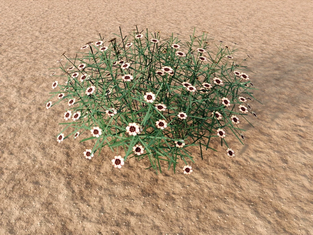 Coreopsis Plant sketchup model preview - SketchupBox