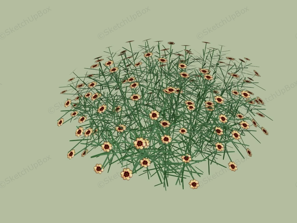 Coreopsis Plant sketchup model preview - SketchupBox