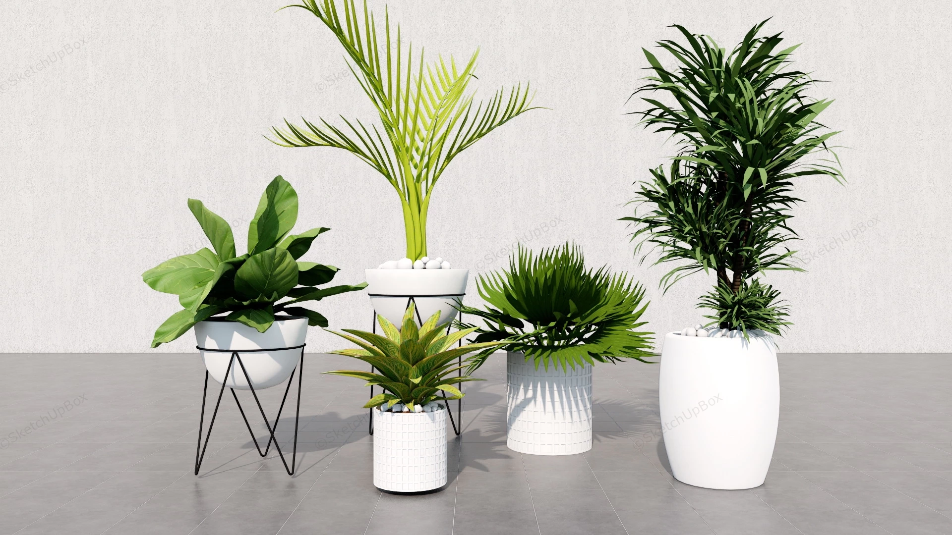 Potted Houseplants sketchup model preview - SketchupBox